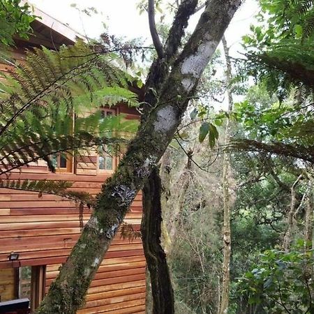 Chalé dos tucanos Campos do Jordão Exterior foto